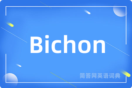 Bichon