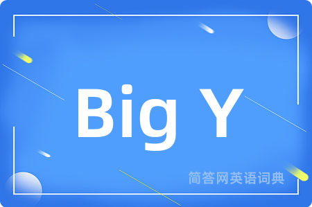 Big Y
