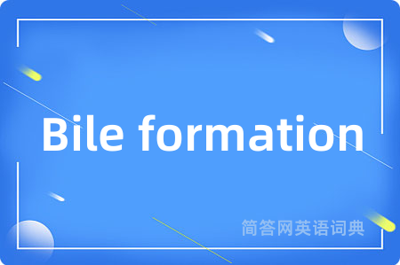 Bile formation是什么意思,Bile formation的中文翻译 Bile formation
