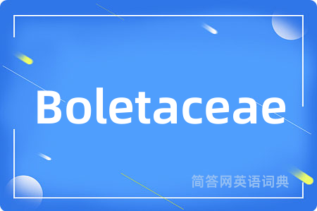 Boletaceae