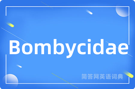 Bombycidae