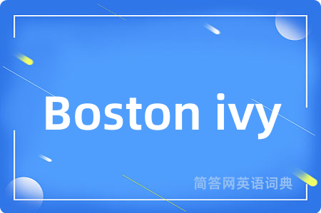 Boston ivy是什么意思,Boston ivy的中文翻译 Boston ivy