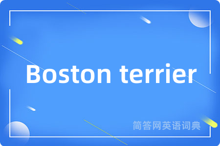 Boston terrier是什么意思,Boston terrier的中文翻译 Boston terrier
