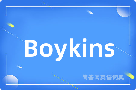 Boykins是什么意思,Boykins的中文翻译 Boykins
