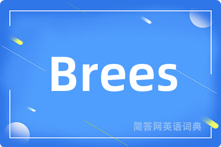 Brees
