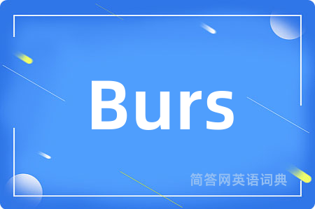 Burs