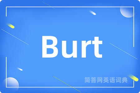 Burt是什么意思,Burt的中文翻译 Burt