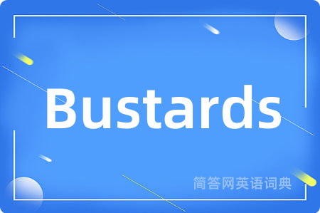 Bustards是什么意思,Bustards的中文翻译 Bustards