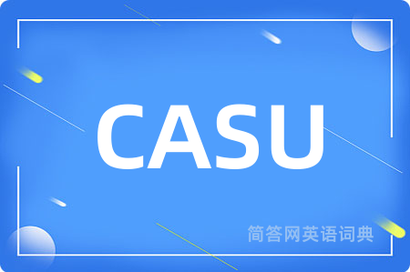 CASU是什么意思,CASU的中文翻译 CASU