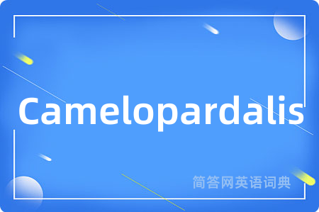 Camelopardalis是什么意思,Camelopardalis的中文翻译 Camelopardalis