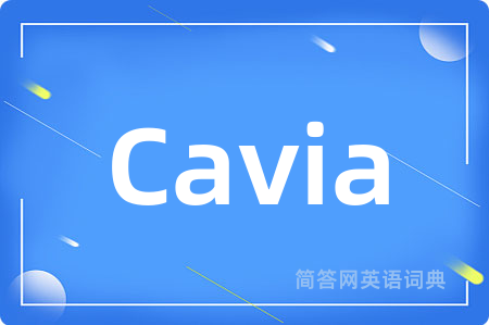 Cavia