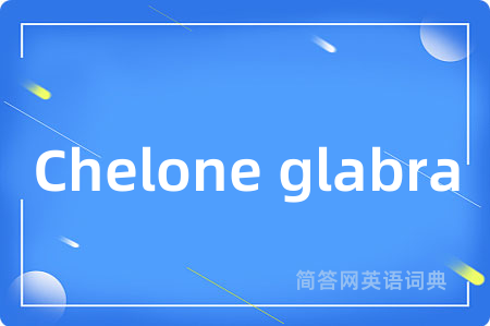 Chelone glabra