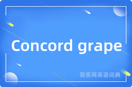 Concord grape