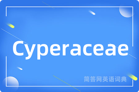 Cyperaceae是什么意思,Cyperaceae的中文翻译 Cyperaceae