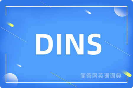 DINS