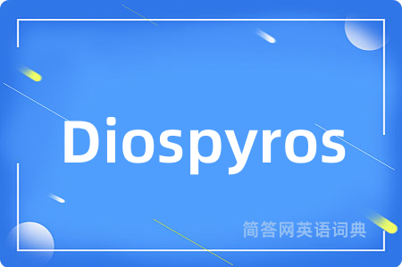 Diospyros