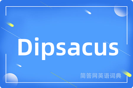 Dipsacus是什么意思,Dipsacus的中文翻译 Dipsacus