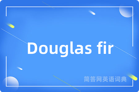 Douglas fir是什么意思,Douglas fir的中文翻译 Douglas fir