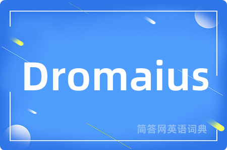 Dromaius是什么意思,Dromaius的中文翻译 Dromaius