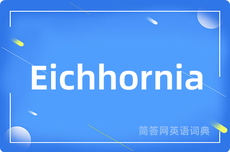 Eichhornia