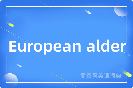 European alder