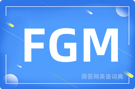 FGM是什么意思,FGM的中文翻译 FGM