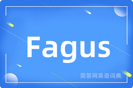 Fagus