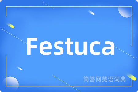 Festuca