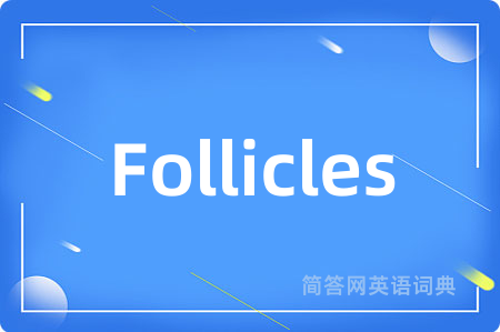Follicles
