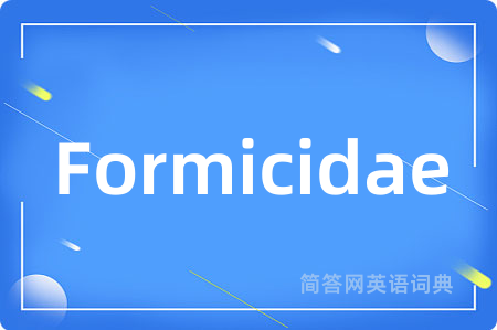 Formicidae