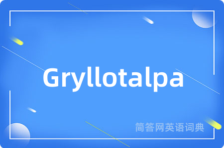 Gryllotalpa是什么意思,Gryllotalpa的中文翻译 Gryllotalpa