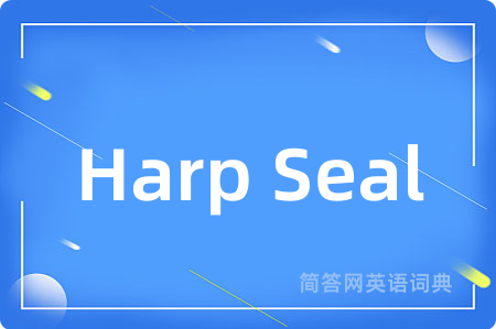 Harp Seal