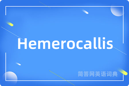Hemerocallis是什么意思,Hemerocallis的中文翻译 Hemerocallis