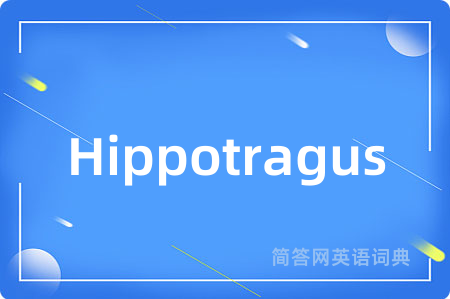 Hippotragus