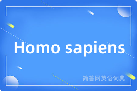 Homo sapiens