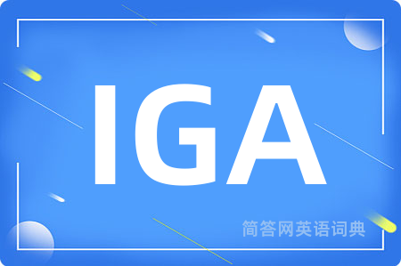 IGA是什么意思,IGA的中文翻译 IGA