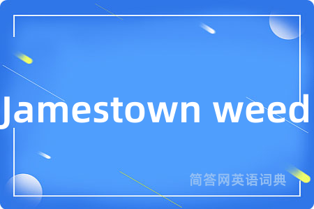 Jamestown weed是什么意思,Jamestown weed的中文翻译 Jamestown weed
