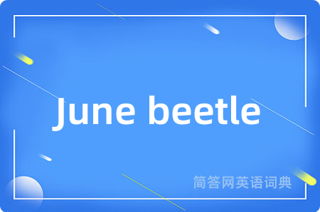 June beetle是什么意思,June beetle的中文翻译 June beetle