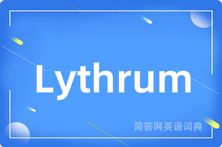 Lythrum