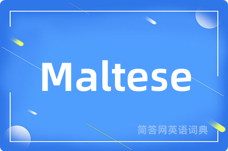 Maltese