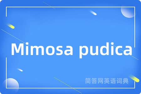 Mimosa pudica是什么意思,Mimosa pudica的中文翻译 Mimosa pudica