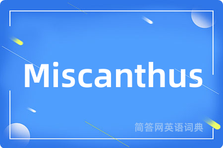Miscanthus