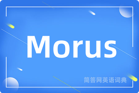 Morus