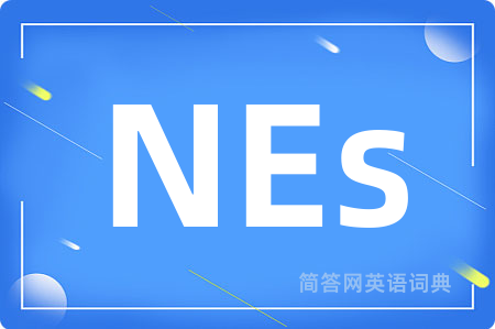 NEs是什么意思,NEs的中文翻译 NEs