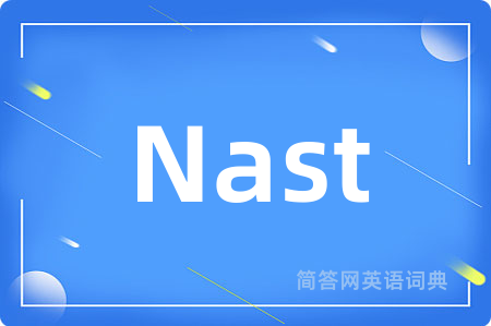 Nast是什么意思,Nast的中文翻译 Nast
