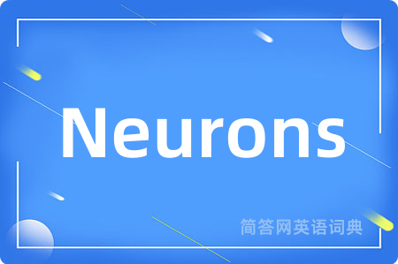 Neurons