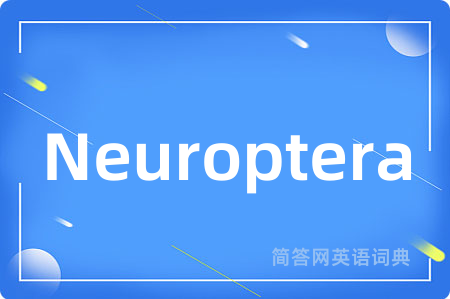 Neuroptera