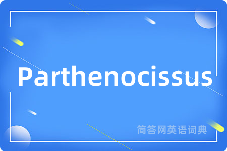 Parthenocissus是什么意思,Parthenocissus的中文翻译 Parthenocissus