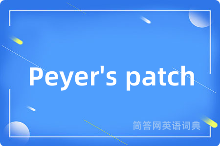 Peyer's patch