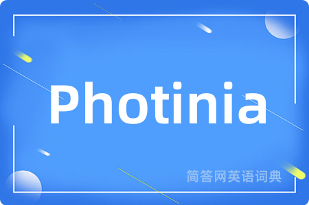 Photinia